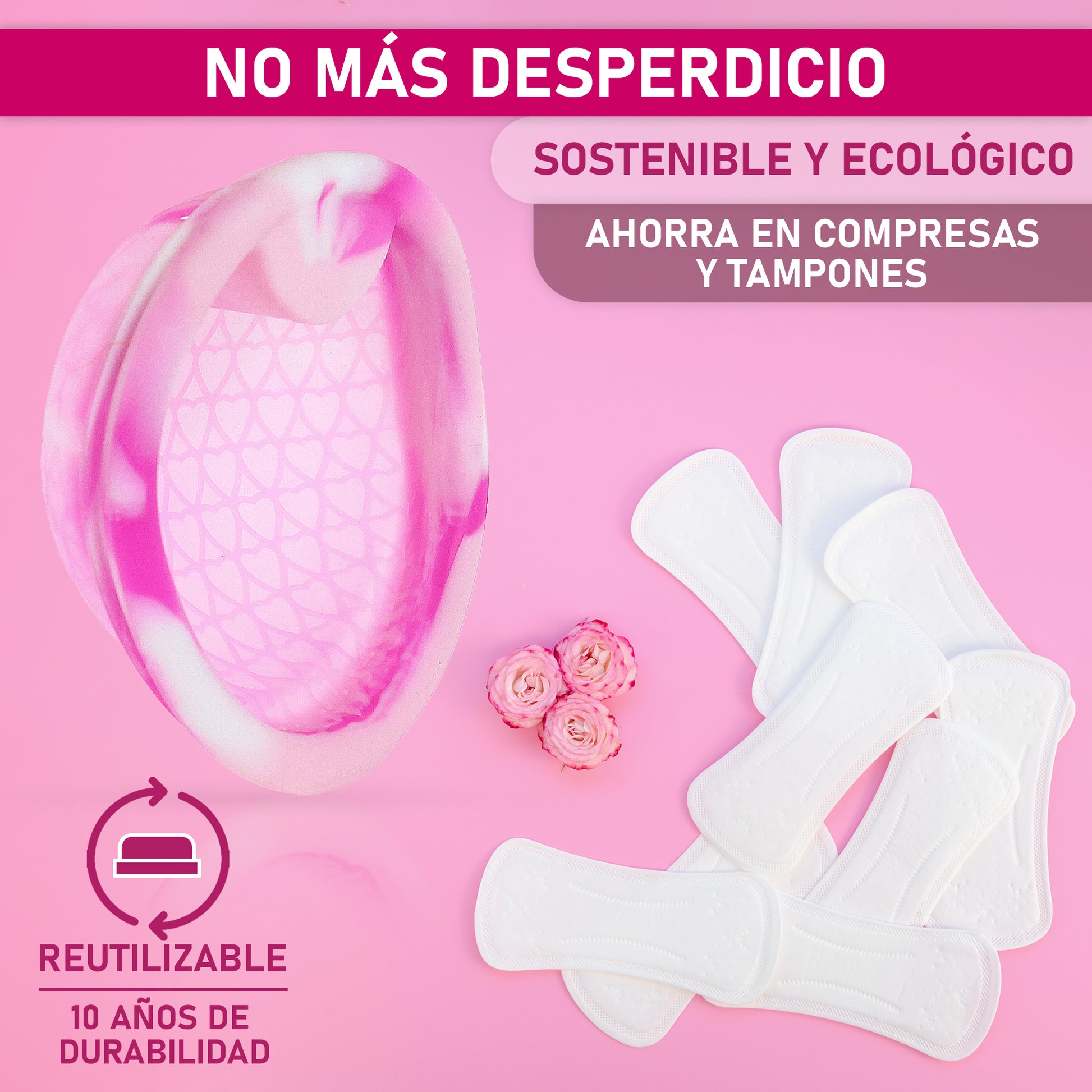 Imagen del disco tirador corto L